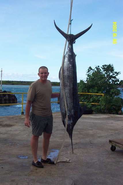 Pacific Blue Marlin 130lbs