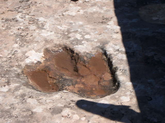 Moab 2008