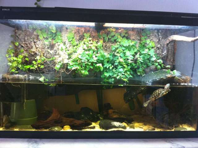 photo3