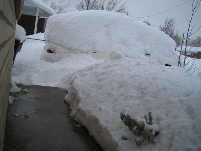 Not Winter?