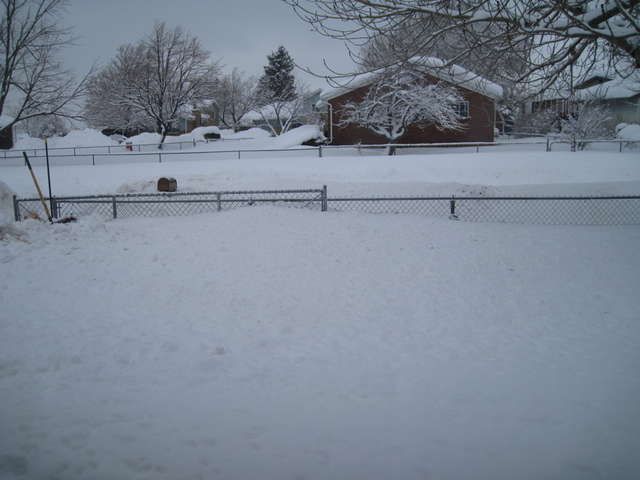 Not Winter?