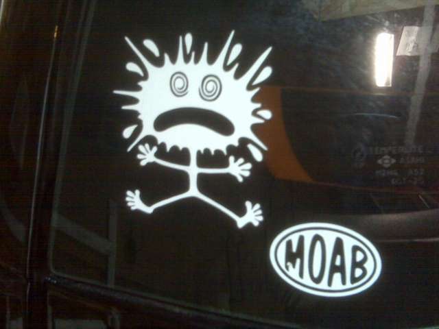 splat