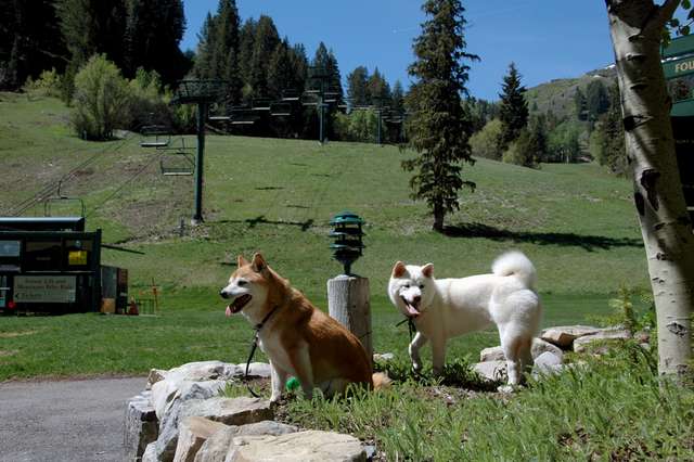 Sundance Resort