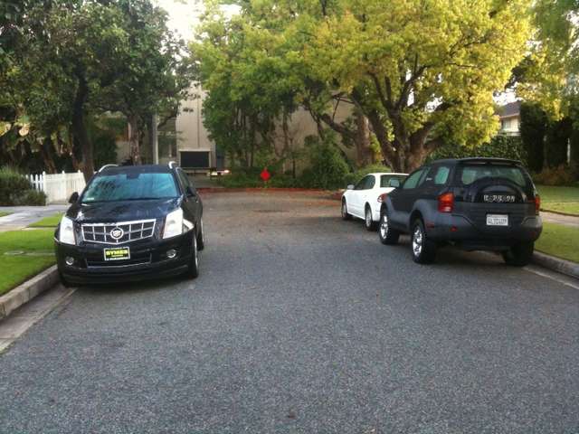 My X's