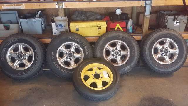 Stock 16's for sale