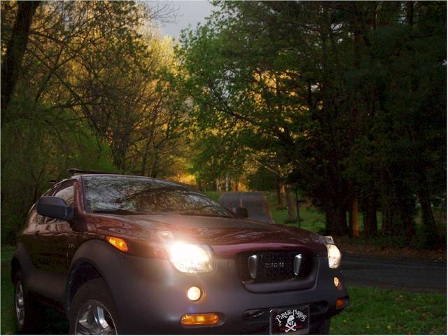 Foxfire at Dusk