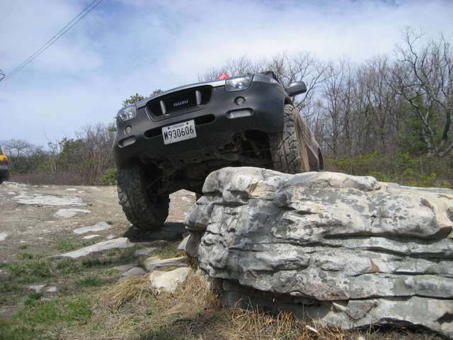 Cstyles up on the rock