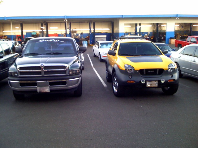 My Babies
