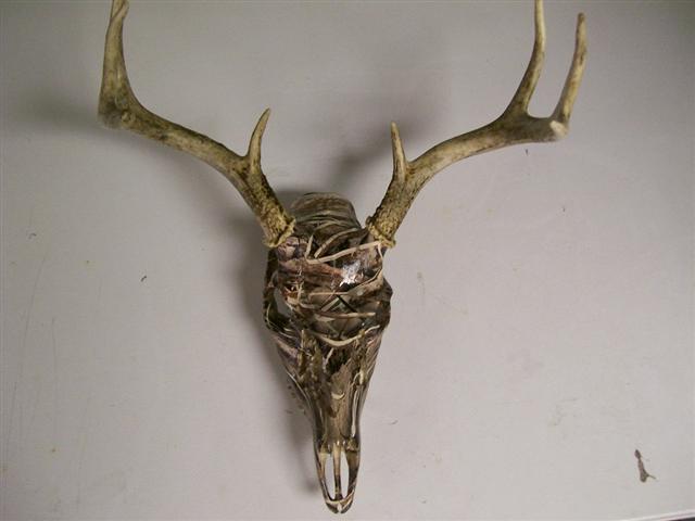 skull2