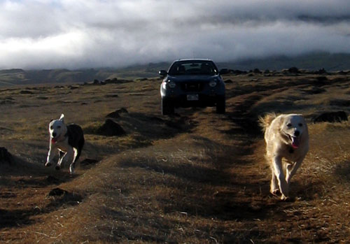 Betty & Fritz leading the way!