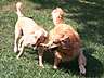 100_2646.JPG