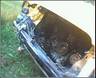 1138wreck_2.jpg