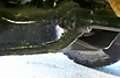 2012-10-16_16-37-55_186.jpg