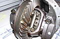 3-6-09_073.jpg
