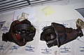 3-6-09_078.jpg