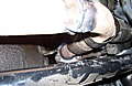 3-6-09_083.jpg