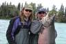 372gruven_kingsalmon.jpg