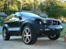 39241-on-18x8.jpg