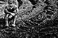 4_Wheels-3493.jpg