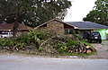 9-22-08_040.jpg