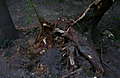 9-22-08_044.jpg