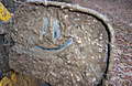 CIMG5227.JPG