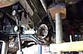DSC00168_800x600.jpg