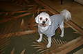 DSC00517.JPG