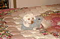 DSC00523.JPG