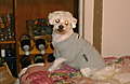 DSC00524.JPG