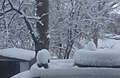DSC02132.JPG