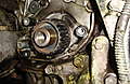 DSC02387.JPG