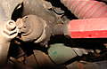 DSC02730.JPG