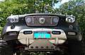 DSC03797x.JPG