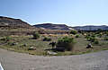 DSC07182.jpg