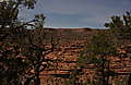 DSC07883.JPG