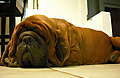 DSCF0152.JPG