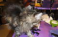 DSCF1173.JPG