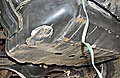 DSCF1573.JPG