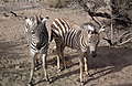 DSCF2283.JPG