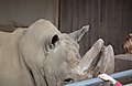 DSCF2343.JPG