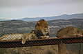 DSCF2347.JPG