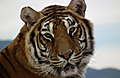 DSCF2366_3.JPG