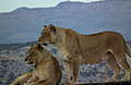 DSCF2421.JPG