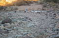 DSCF2640.JPG