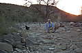 DSCF2658.JPG