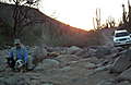 DSCF2667.JPG