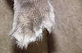 DSCF29171.JPG