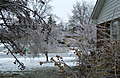 DSCF4150.JPG
