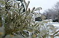 DSCF4153.JPG